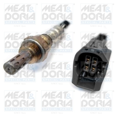 Oxygen Sensor